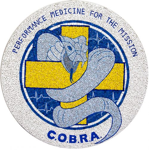 419 Cobra